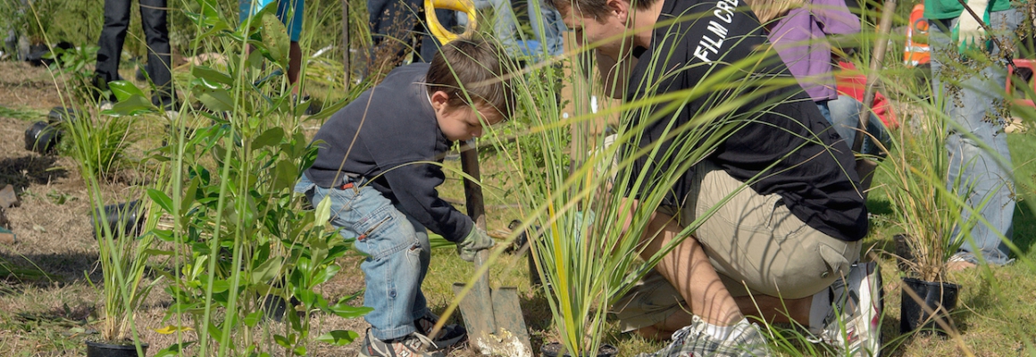 PTS_Oratia Planting