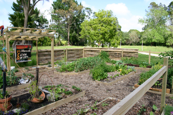 Project Twin Streams Millbrook Edible Garden
